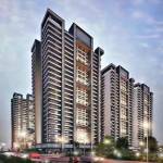 Elevation antilia Elevation