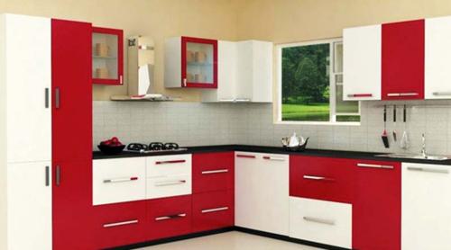  iris Images for Main Other of Saket Iris