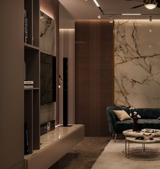  giridharis vue Living Area