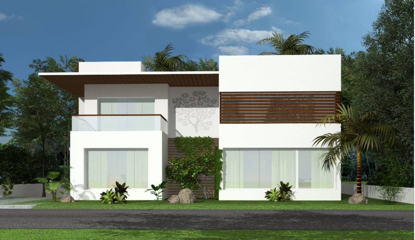 temple tree Images for Elevation of Jayabheri Temple Tree