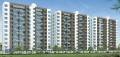Venus Infra Nandini Bellus