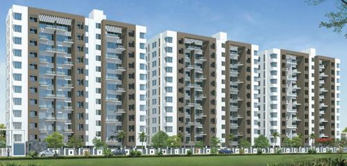 Images for Elevation of Venus Nandini Bellus nandini-bellus Images for Elevation of Venus Nandini Bellus