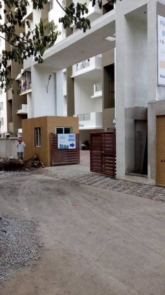  nandini-bellus Others