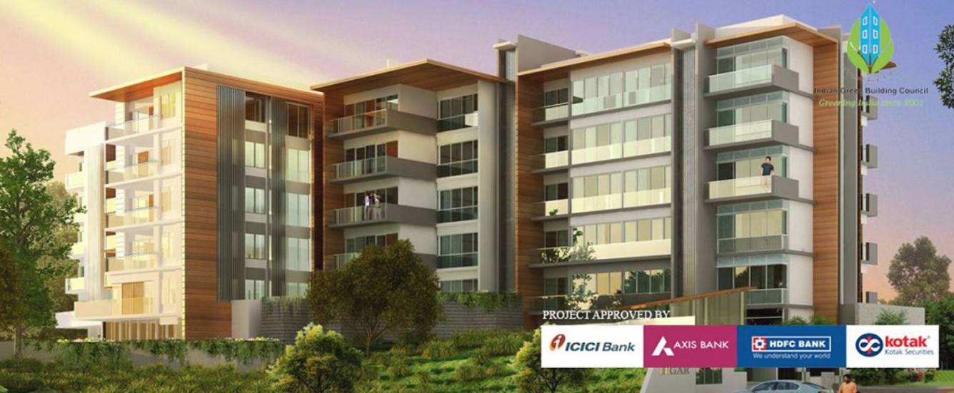 Images for Elevation of  Amali