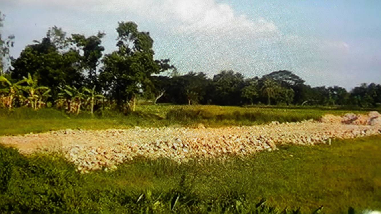 Images for Main Other of Azameen Biocity