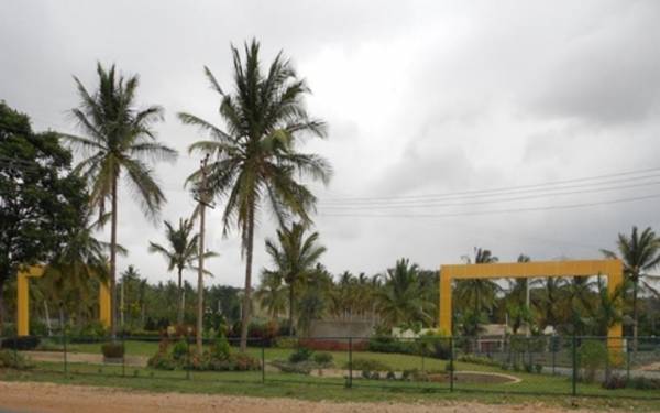 Images for Main Other of Bhoomika Mango Grove II