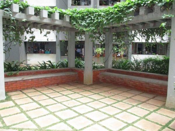  daffodils Senior Citizen Sitout