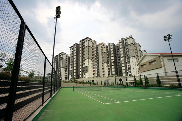  daffodils Tennis Court
