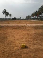 Project Image Project Image