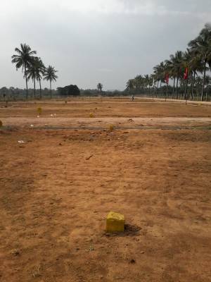 Images for Elevation of Tekton White Park