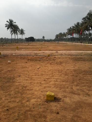 Images for Elevation of Tekton White Park white-park Images for Elevation of Tekton White Park