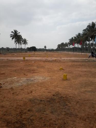  white-park Images for Amenities of Tekton White Park