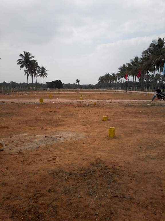 white park Images for Amenities of Tekton White Park