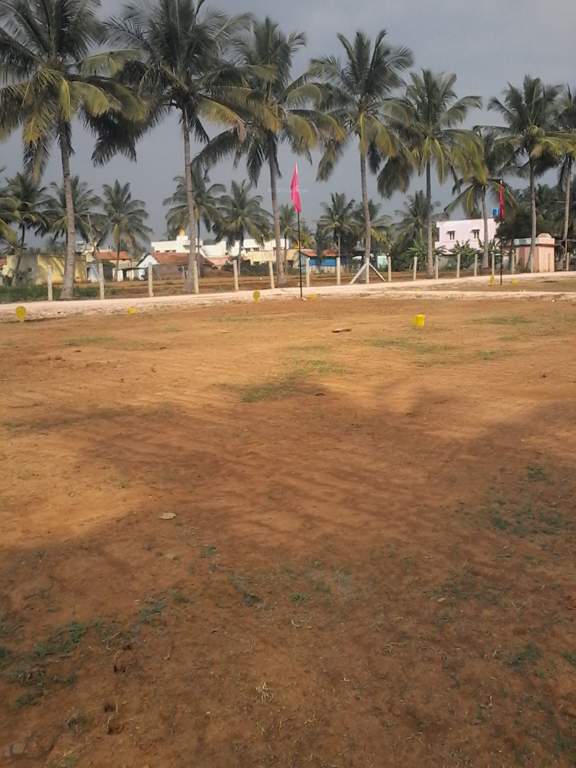 white park Images for Main Other of Tekton White Park