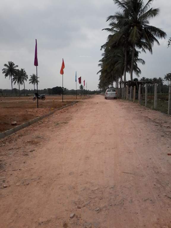 white park Images for Main Other of Tekton White Park