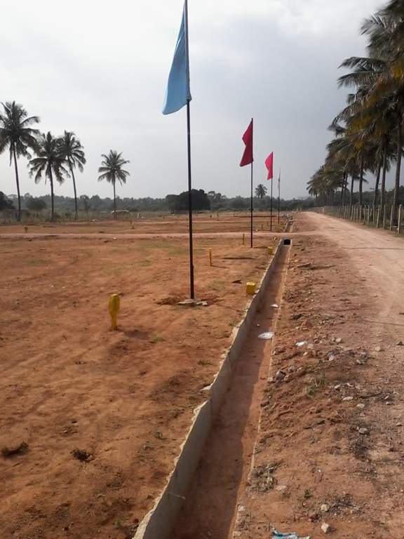 white park Images for Main Other of Tekton White Park