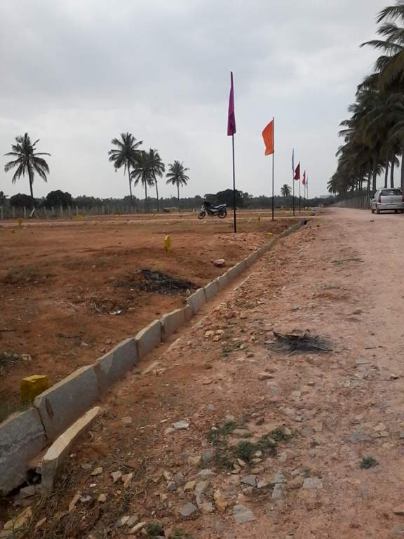 white park Images for Main Other of Tekton White Park