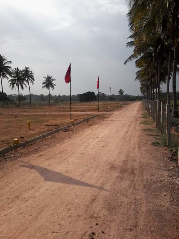 white park Images for Main Other of Tekton White Park