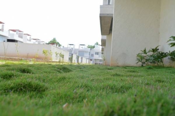 Images for Amenities of JSV Nakshatra