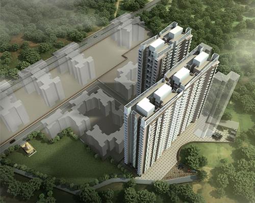  rudraksha Images for Elevation of Raj Rudraksha