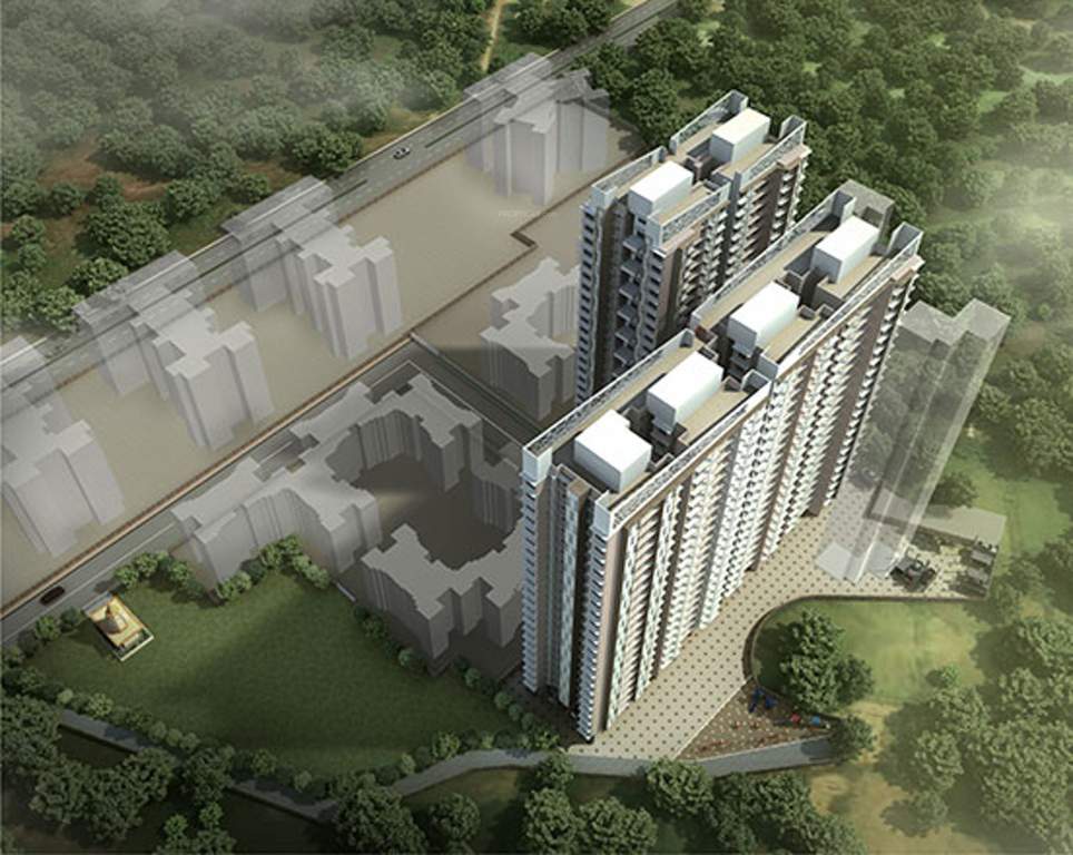 rudraksha Images for Elevation of Raj Rudraksha