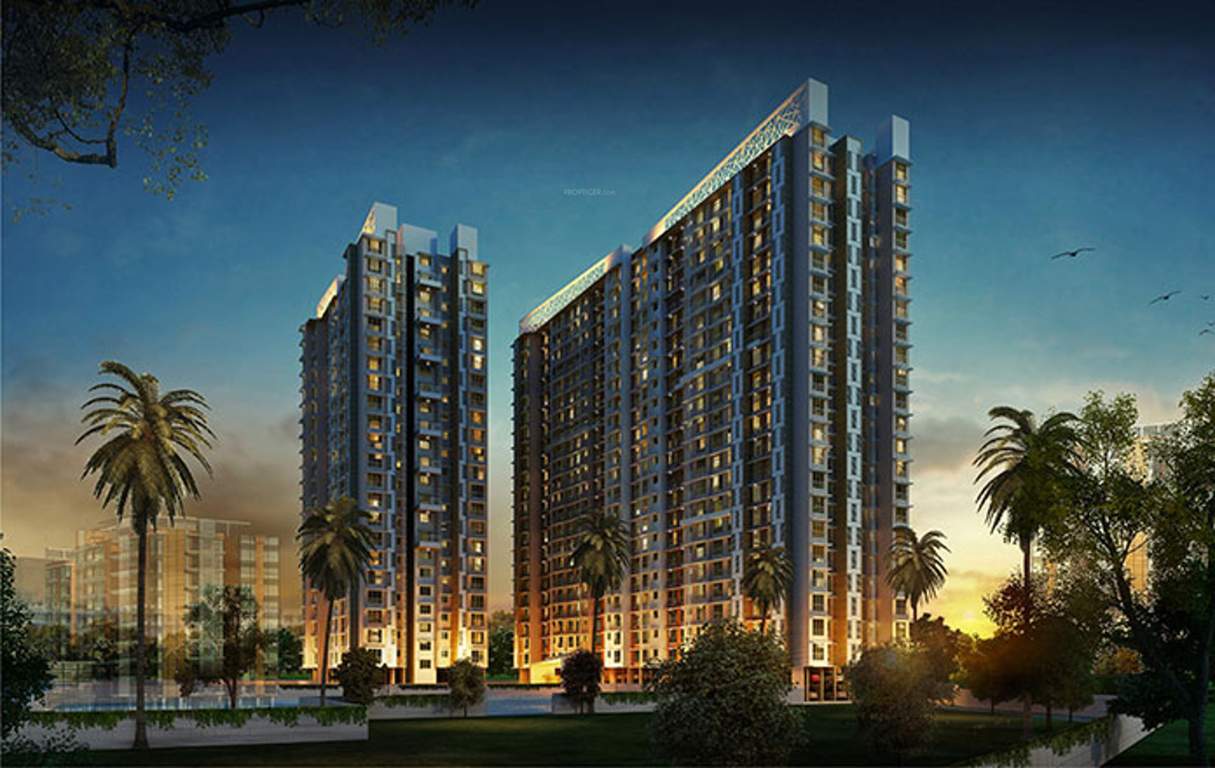 rudraksha Images for Elevation of Raj Rudraksha