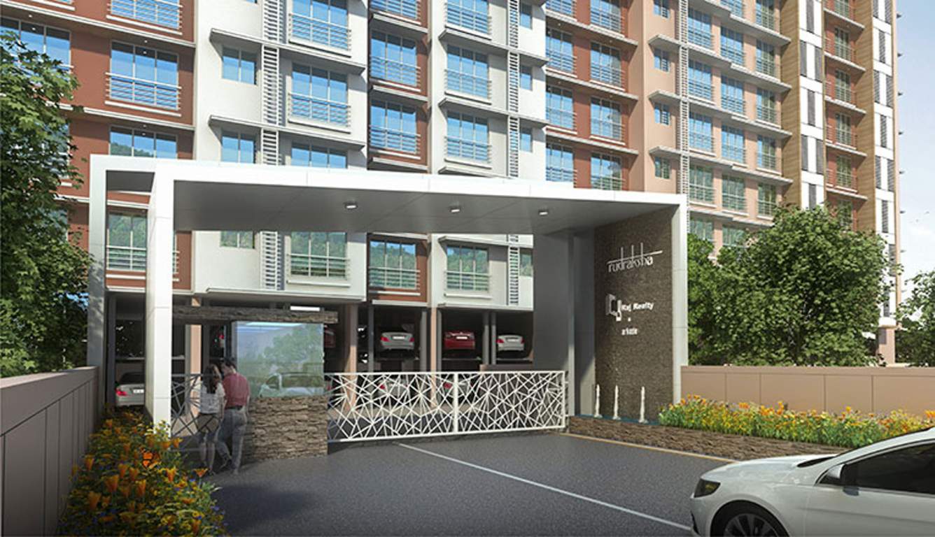 rudraksha Images for Elevation of Raj Rudraksha