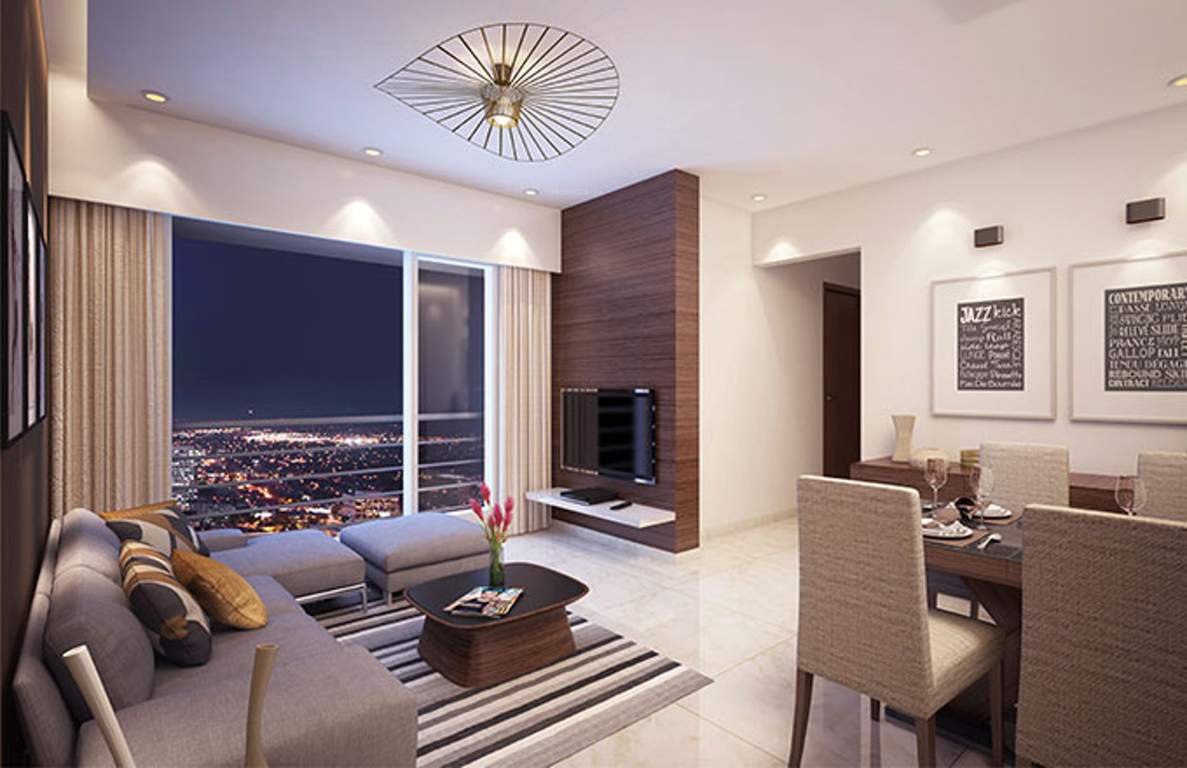 rudraksha Images for Main Other of Raj Rudraksha