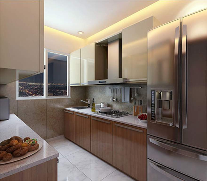 rudraksha Images for Main Other of Raj Rudraksha