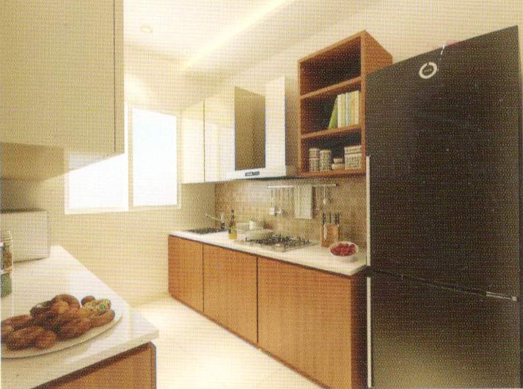 rudraksha Images for Main Other of Raj Rudraksha