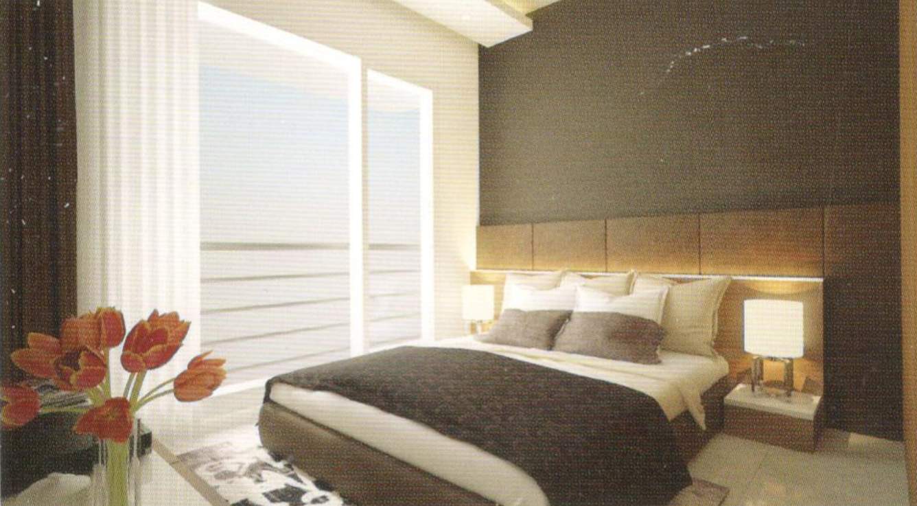 rudraksha Images for Main Other of Raj Rudraksha