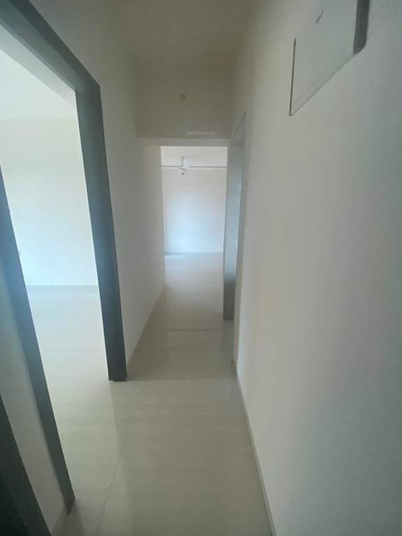 rudraksha Images for mainOther