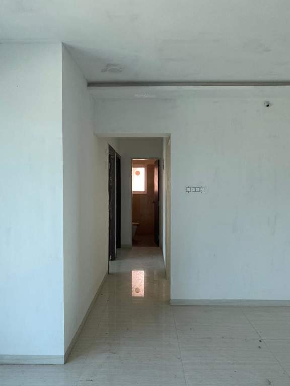 rudraksha Images for mainOther