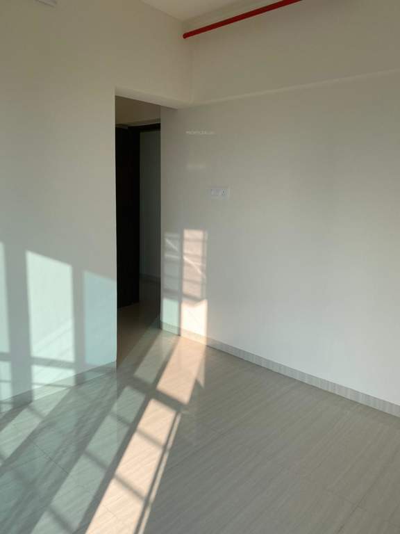 rudraksha Images for mainOther