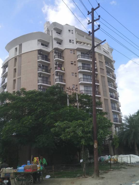  superb Images for Project