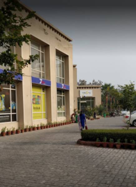  green-paradiso Grocery Shop