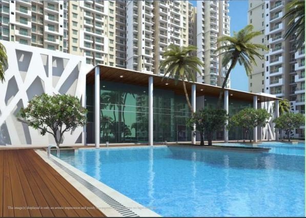  mahagun my woods Others