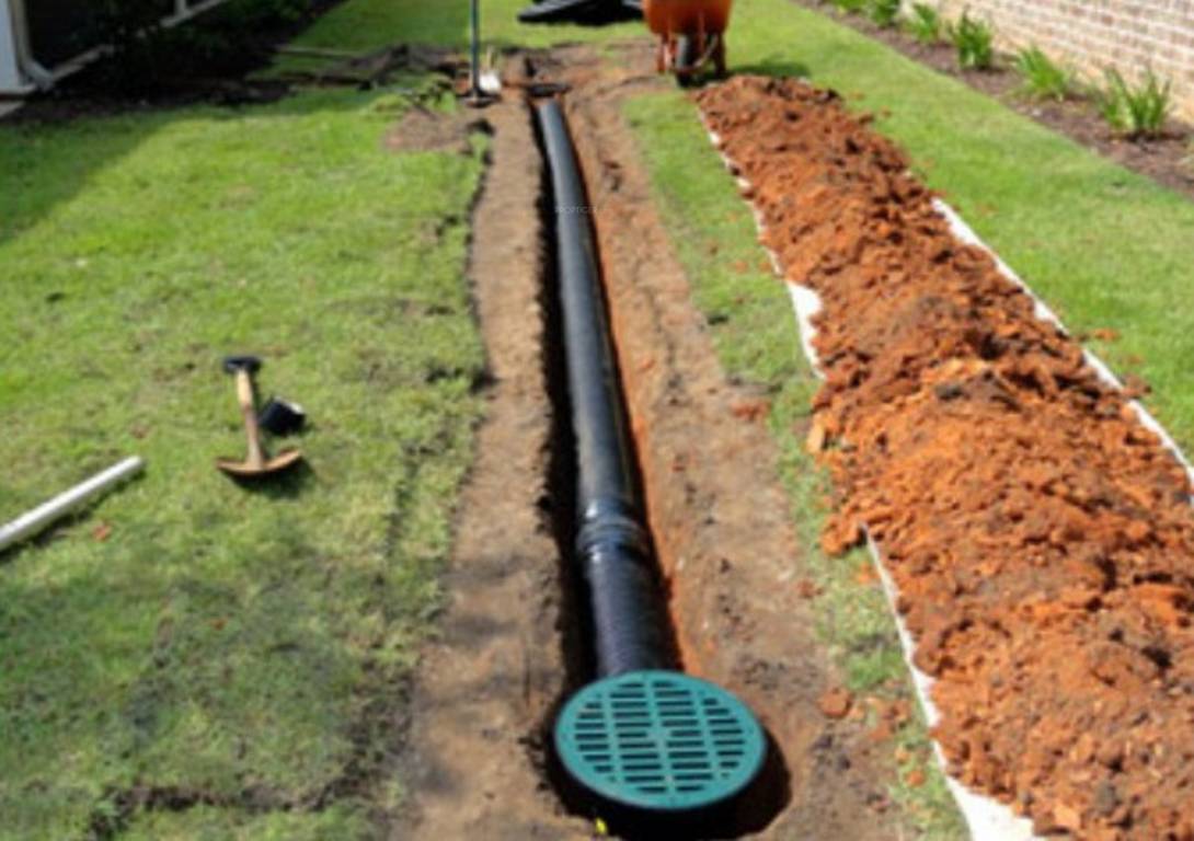 Images for Main Other of Sizzle Sunshine Coast