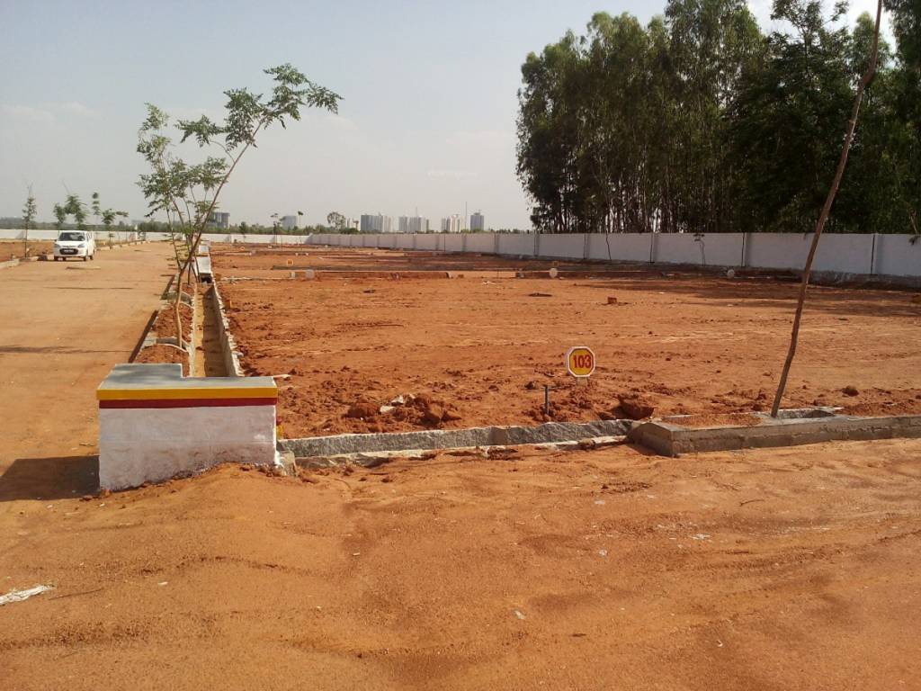 Images for Main Other of Sizzle Sunshine Coast