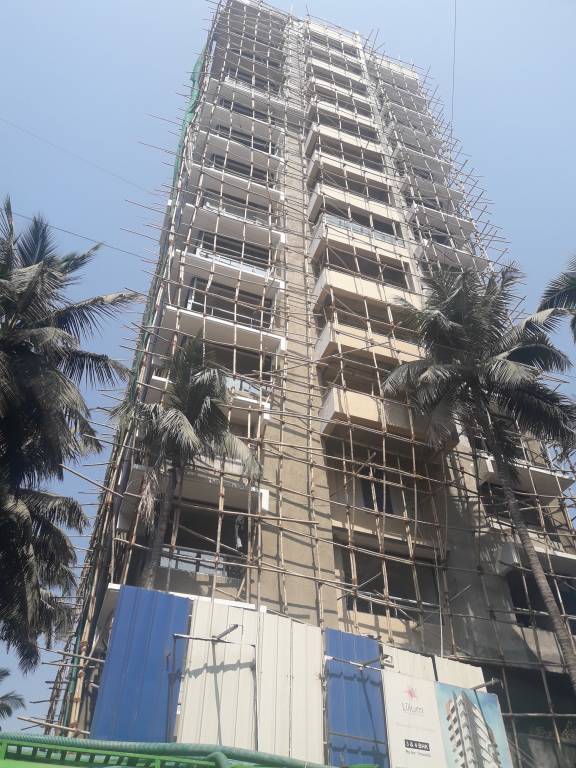 lilium Images for Project