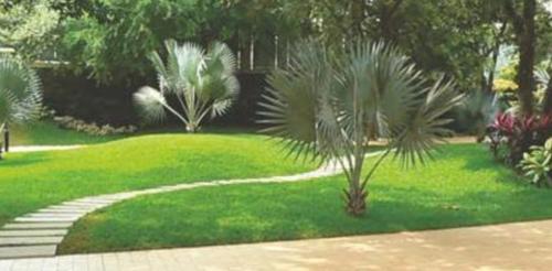 Images for Amenities of Bhuvana Palace palace Images for Amenities of Bhuvana Palace