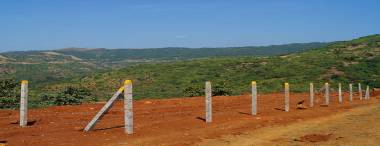 Images for Elevation of Mango Mango Farm