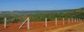 Mango Buildcon Farm