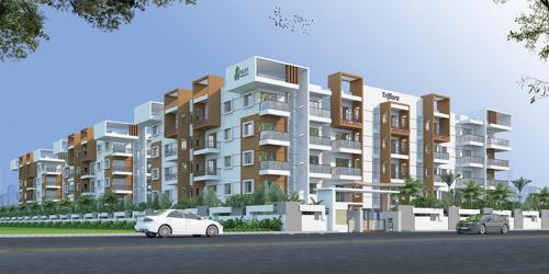 Images for Elevation of Hilife Triflora triflora Images for Elevation of Hilife Triflora