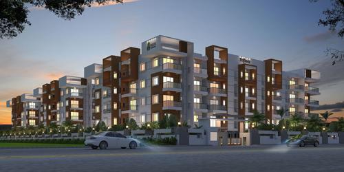 Images for Elevation of Hilife Triflora triflora Images for Elevation of Hilife Triflora