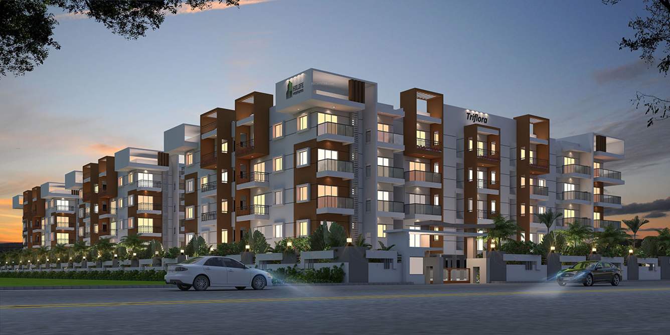  triflora Images for Elevation of Hilife Triflora