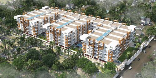 Images for Elevation of Hilife Triflora triflora Images for Elevation of Hilife Triflora