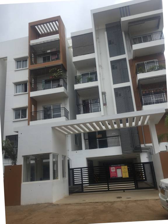  triflora Images for Project