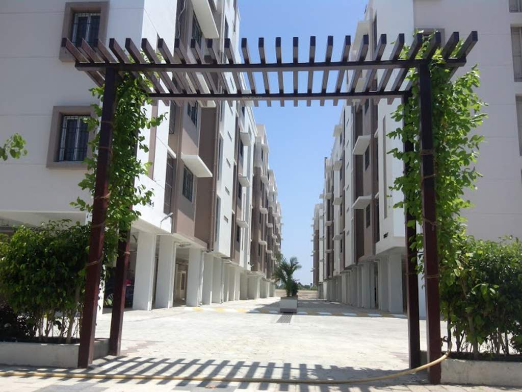  magnolia Images for Elevation of Arboretum Magnolia