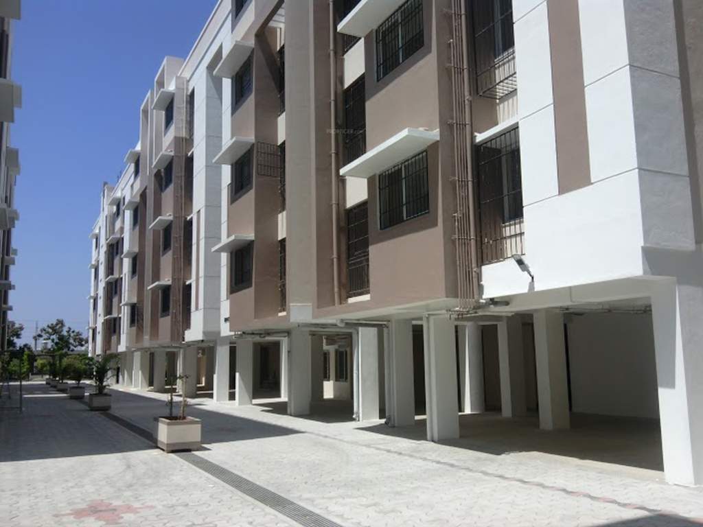  magnolia Images for Elevation of Arboretum Magnolia